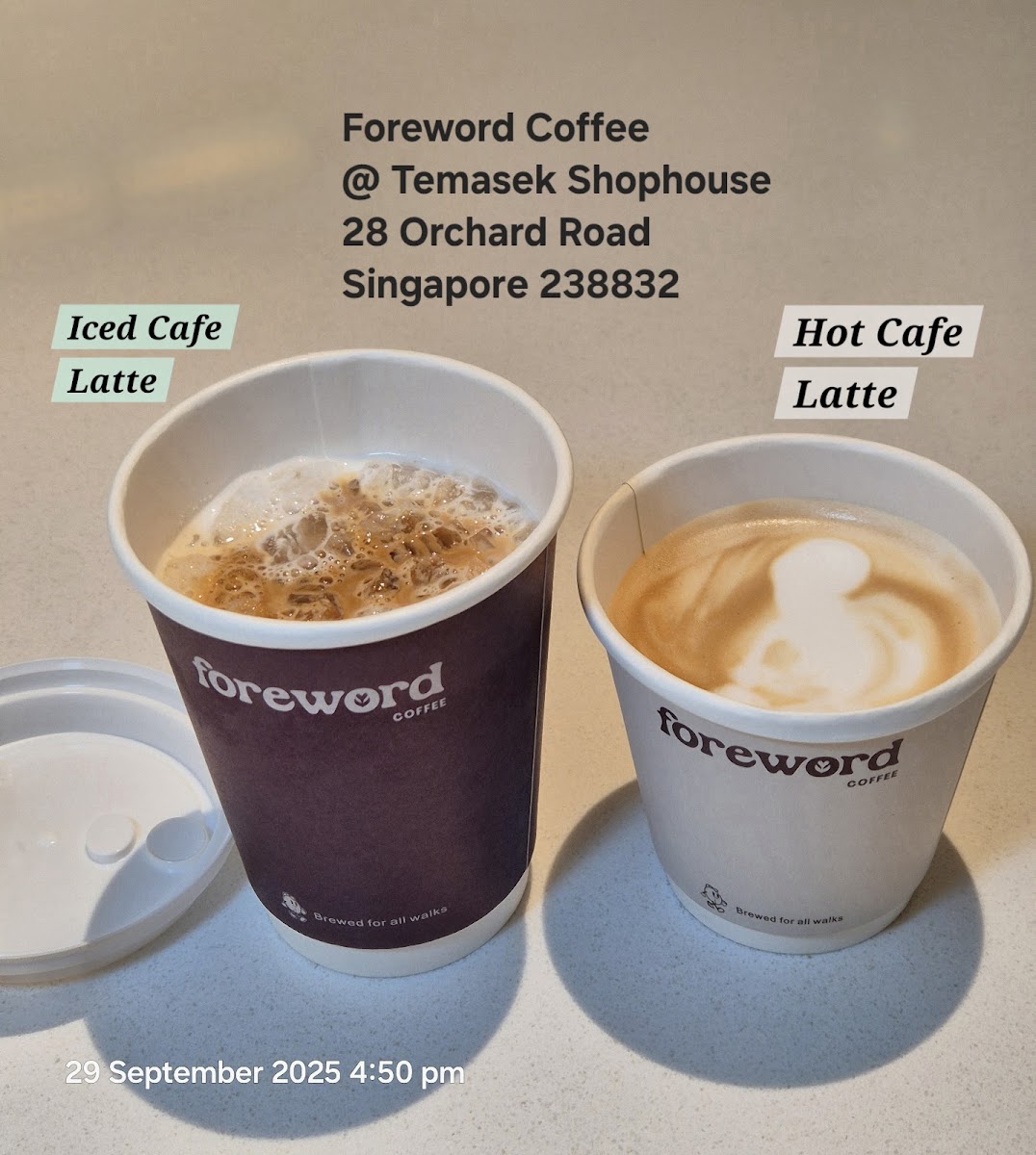 Foreword Coffee @ Temasek Shophouse Photos 2